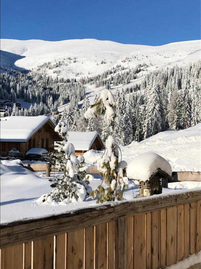 Almhaus Chalet Lachtal Oberwoelz Stadt 외부 사진