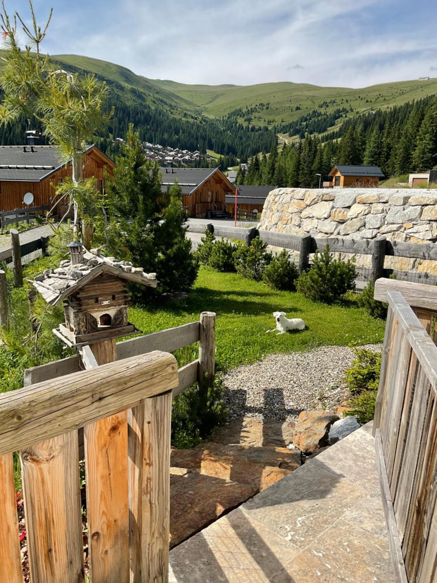 Almhaus Chalet Lachtal Oberwoelz Stadt 외부 사진